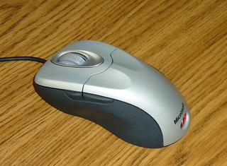 _images/informatica-raton-tb.jpg