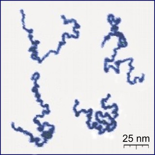 Fotografía de un polímero real usando un microscopio de fuerza atómica.