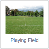 _images/scratch3-fondo-playingfield.png