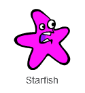 _images/scratch-starfish.png